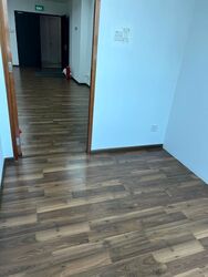 Trivex (D13), Warehouse #420763291